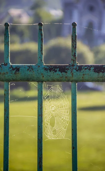 Spiderweb Csepp Kerítés Részlete — Stock Fotó