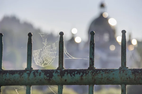 Zbliżenie Spiderweb Krople Stole — Zdjęcie stockowe