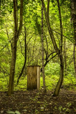 ormandaki küçük ahşap tuvalet kabini