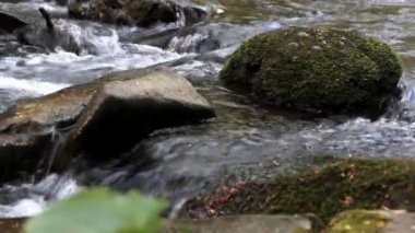 ormandaki küçük hızlı Nehri'nin yakın çekim