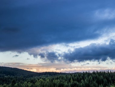 Spruce Karpat Ormanı ve Bulutları Geniş Görüş