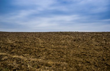 Bahar tarıma elverişli alan tarım peyzaj