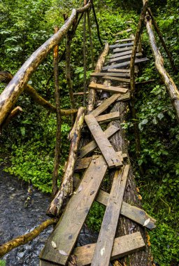 küçük ahşap el yapımı yaya yaya köprüsü altında orman Nehri