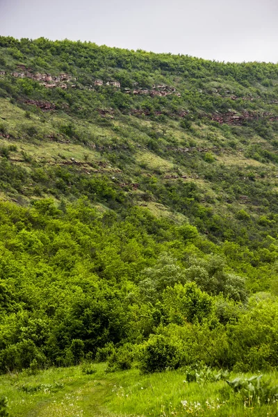 Paisaje Montaña Chervona Hora Parque Nacional Naturaleza Dnister Canyon Región —  Fotos de Stock