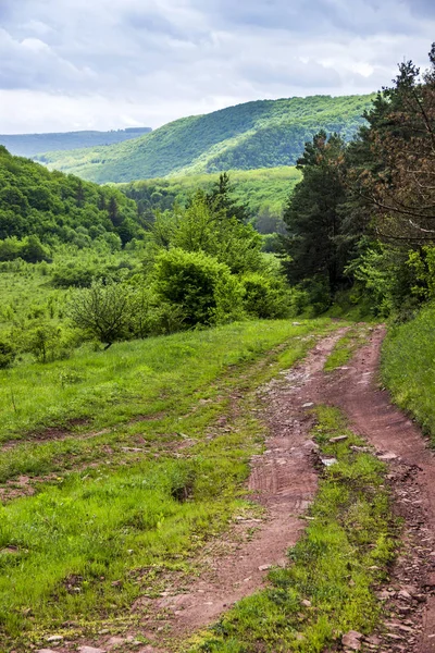 Orman ve dağlar Batı Ukrayna Ternopil bölgesi arka planda