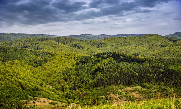 Landschap Van Karpaten Nationaal Park Skolevski Beskidy Lviv Regio Van — Stockfoto