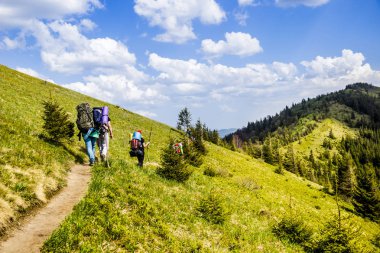turist hiking Karpat Dağları, Milli Parkı Skolevski beskidy, Batı Ukrayna'nın Lviv bölgesi Grup 