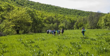 ormanda hiking turist Grup