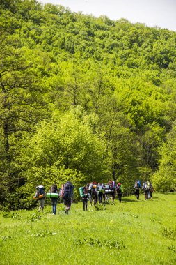 ormanda hiking turist Grup