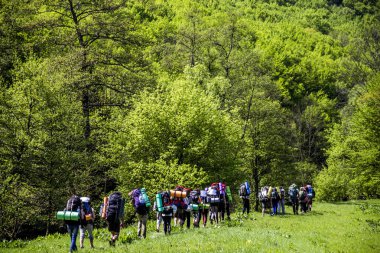 ormanda hiking turist Grup