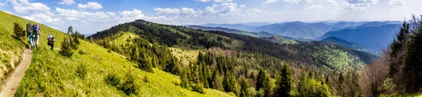 Groupe Touristes Randonnée Dans Les Montagnes Des Carpates Parc National — Photo