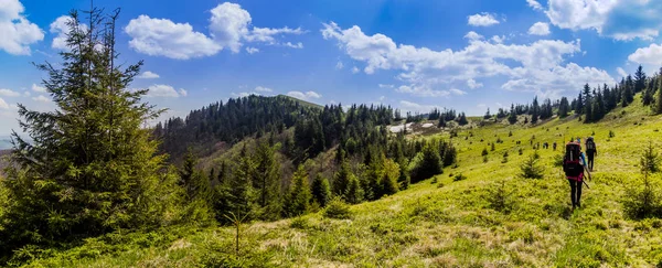 Touristengruppe Beim Wandern Den Karpaten Zum Paraschka Gebirge Nationalpark Skolevski — Stockfoto