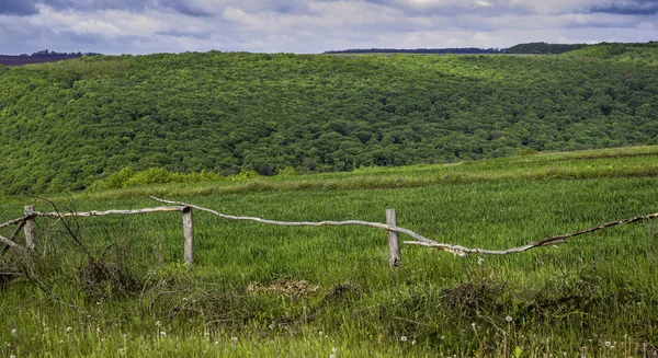 Oud houten hek — Stockfoto