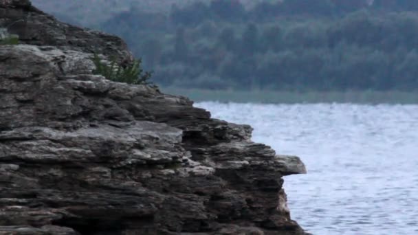 Een Bakota Bay Dnistrovske Reservoir Uitzicht Vroege Ochtend Dnister Rivier — Stockvideo