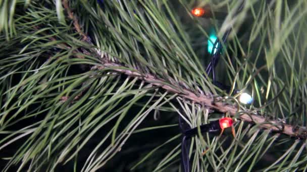 点滅するライトでクリスマスツリーの枝をクローズアップ — ストック動画