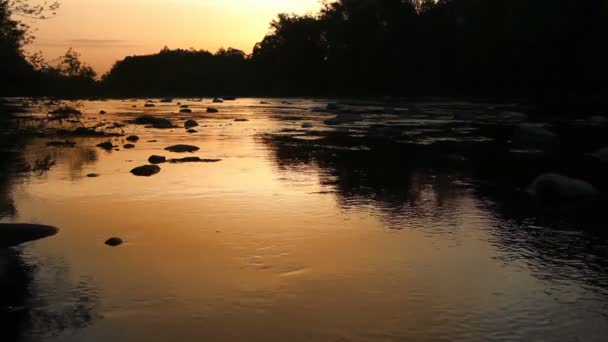 Sonnenaufgang Über Dem Fluss Opir Karpaten Nationalpark Skolivski Beskidy Region — Stockvideo