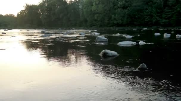 Lever Soleil Sur Rivière Opir Dans Parc National Des Carpates — Video