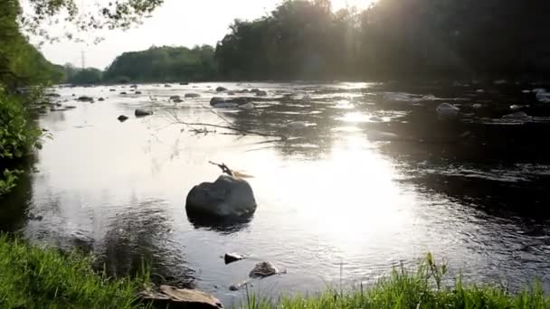 Lever Soleil Sur Rivière Opir Dans Parc National Des Carpates — Video