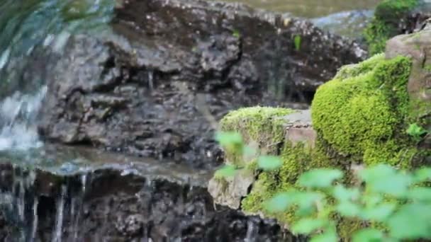 Blick Auf Die Rusyliv Wasserfälle Befindet Sich Fluss Rusyliv Rechter — Stockvideo