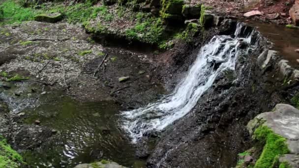 Vista Rusyliv Falls Está Localizado Rio Rusyliv Afluente Direito Rio — Vídeo de Stock
