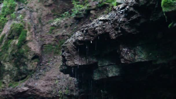 Pohled Rusyliv Falls Nachází Řece Rusyliv Přítok Přímo Řece Strypa — Stock video