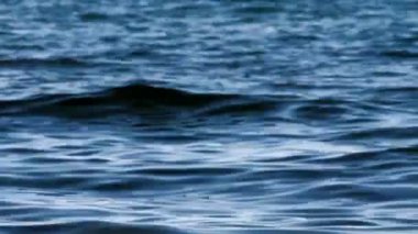 bir deniz suyu dokulu arka plan yakın çekim