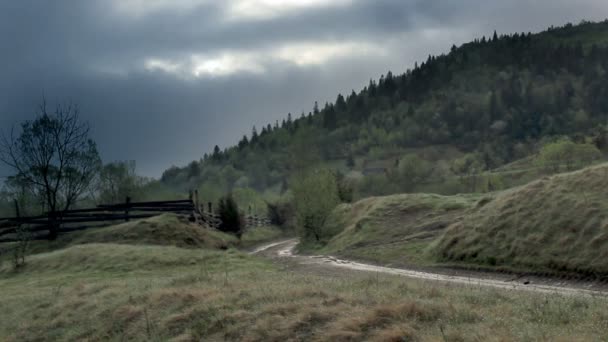 Paysage Forêt Brumeuse Matin Dans Les Montagnes Des Carpates Parc — Video