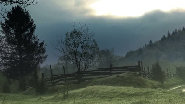 Paysage Forêt Brumeuse Matin Dans Les Montagnes Des Carpates Parc — Video