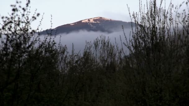 Une Vue Matin Sur Sommet Montagne Parashka Parc National Skolivski — Video
