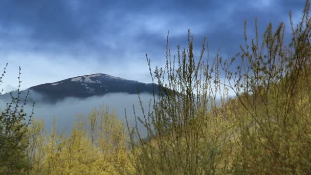 파라쉬카 산봉우리 국립공원 스콜리브스키 베스키디 우크라이나 리비우 지역의 — 비디오