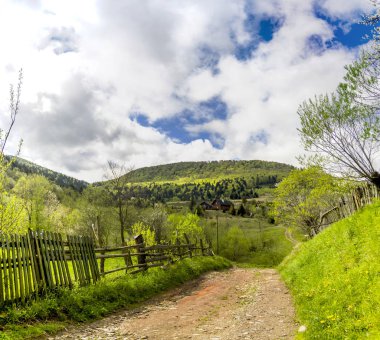 Karpat Dağları Panoraması