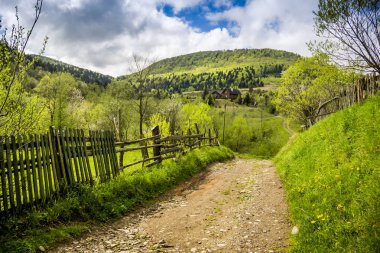 Karpat köyünde kırsal bir yol