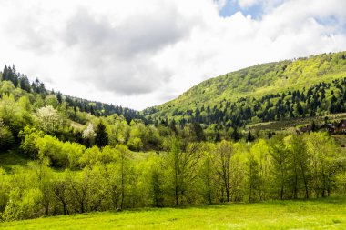 Karpat Dağları Panoraması
