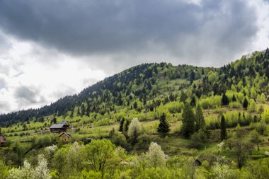 Karpat Dağları Panoraması
