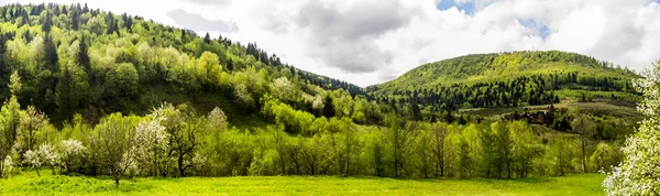 Panorama des Carpates — Photo