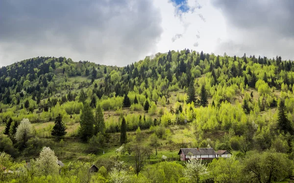 Panorama över Karpaterna — Stockfoto