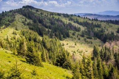 Dağların ve ormanın Karpatya manzarası, ulusal park Skolivski beskidy, Batı Ukrayna 'nın Lviv bölgesi