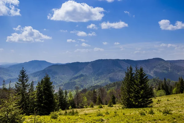 Karpaten Landschap Van Bergen Het Bos Nationaal Park Skolivski Beskidy — Stockfoto