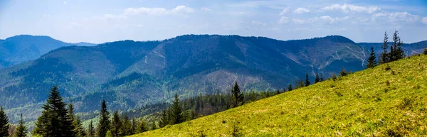 Paysage Des Carpates Des Montagnes Forêt Parc National Skolivski Beskidy — Photo