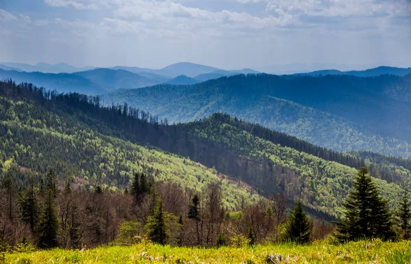 Paysage Des Carpates Des Montagnes Forêt Parc National Skolivski Beskidy — Photo