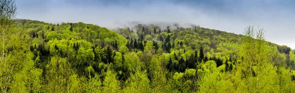 Karpatská Krajina Hor Lesa Národní Park Skolivski Beskidy Lvovská Oblast — Stock fotografie