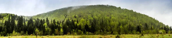 Paysage Des Carpates Des Montagnes Forêt Parc National Skolivski Beskidy — Photo