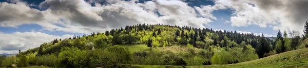 Paysage Des Carpates Des Montagnes Forêt Parc National Skolivski Beskidy — Photo