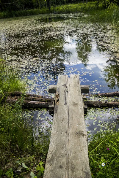 Close Van Kleine Vijver Met Pier Bos — Stockfoto