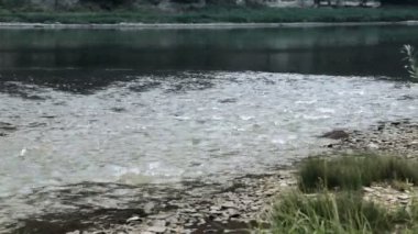 Ustechko köyü ve Dzhurin nehri yakınlarındaki Dinyester nehrinin panoramik manzarası, Ulusal Doğa Parkı Dinyester Kanyonu, Batı Ukrayna 'nın Ternopil bölgesi