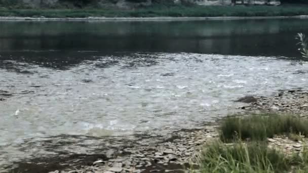 Panoramiczny Widok Rzekę Dniestr Pobliżu Wsi Ustechko Rzeki Dzhurin Narodowy — Wideo stockowe