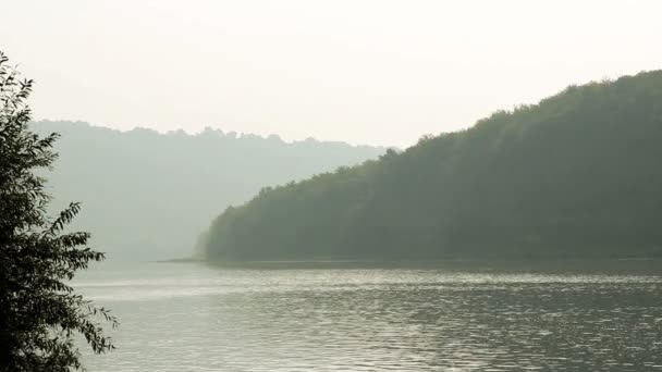 Panoramiczny Widok Rzekę Dniestr Pobliżu Miejscowości Pechorna Narodowy Park Przyrody — Wideo stockowe