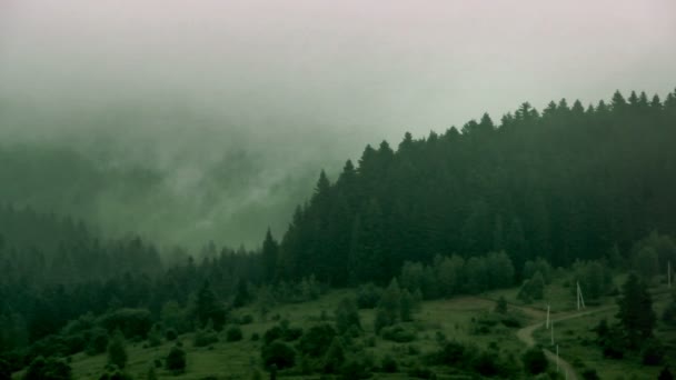 Die Landschaft Des Fichtenwaldes Den Karpaten Nationalpark Skolivski Beskidy Gebiet — Stockvideo