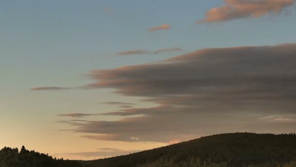 Paysage Forêt Épinettes Dans Les Montagnes Des Carpates Parc National — Video