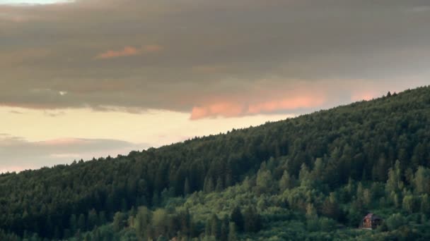 Paysage Forêt Épinettes Dans Les Montagnes Des Carpates Parc National — Video